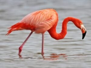 Flight of the Future: India’s First AI-Powered Bird&hellip;