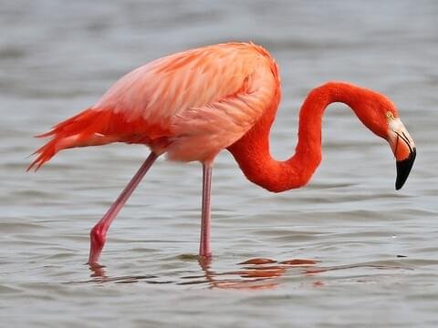 Flight of the Future: India’s First AI-Powered Bird&hellip;