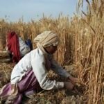 The Impact of the War in Ukraine on the Indian Economy.